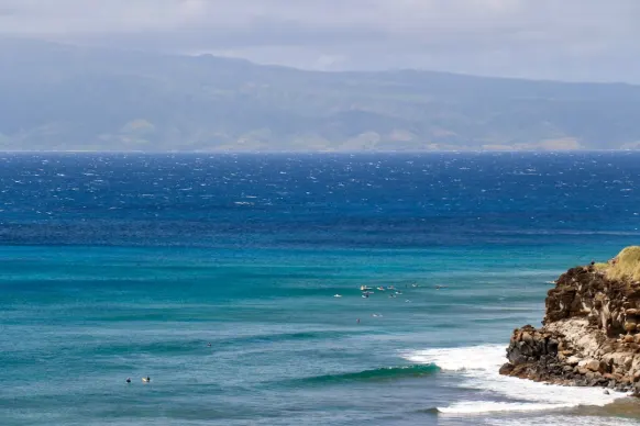 Casino Two Fat Ladies Bingo Podrška